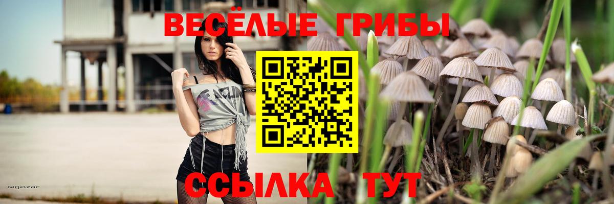 Галлюциногенные грибы мицелий  Вход с VPN  наркошоп  Вольск 
